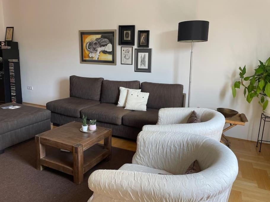Spacious 3Br/2Bt Apartment With A/C In City Center Zagreb Dış mekan fotoğraf