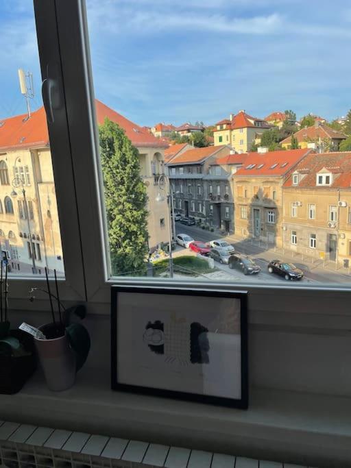Spacious 3Br/2Bt Apartment With A/C In City Center Zagreb Dış mekan fotoğraf