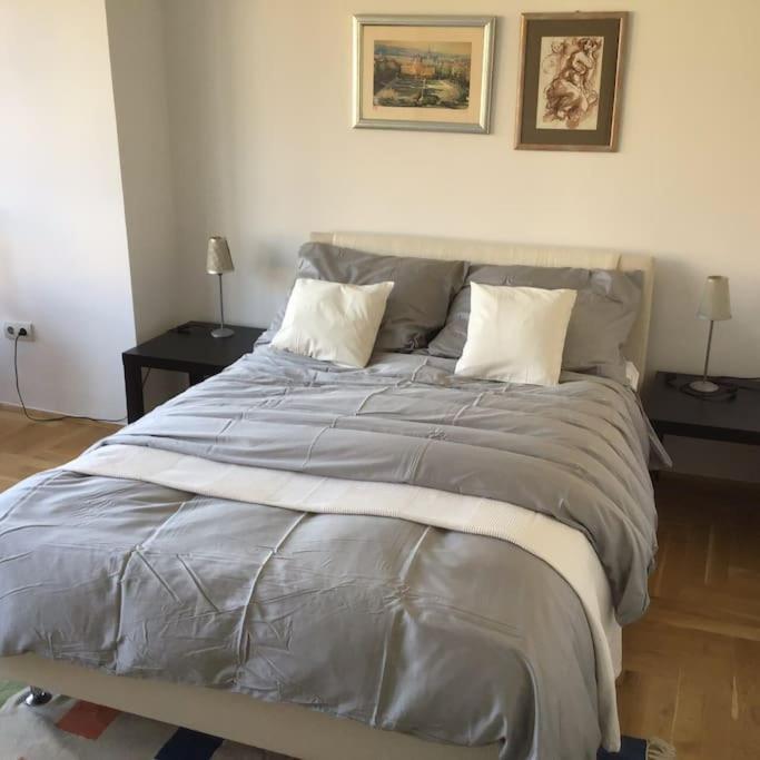 Spacious 3Br/2Bt Apartment With A/C In City Center Zagreb Dış mekan fotoğraf